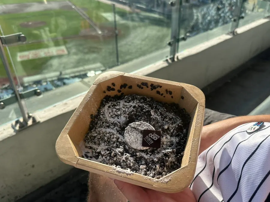 Bingdongdaeng choco oreo bingsu in a takeout container