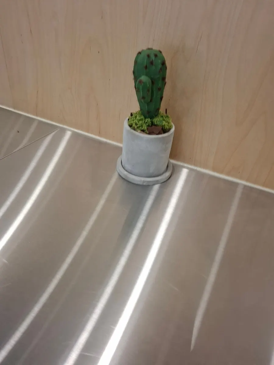 Standing seat with a cactus pot