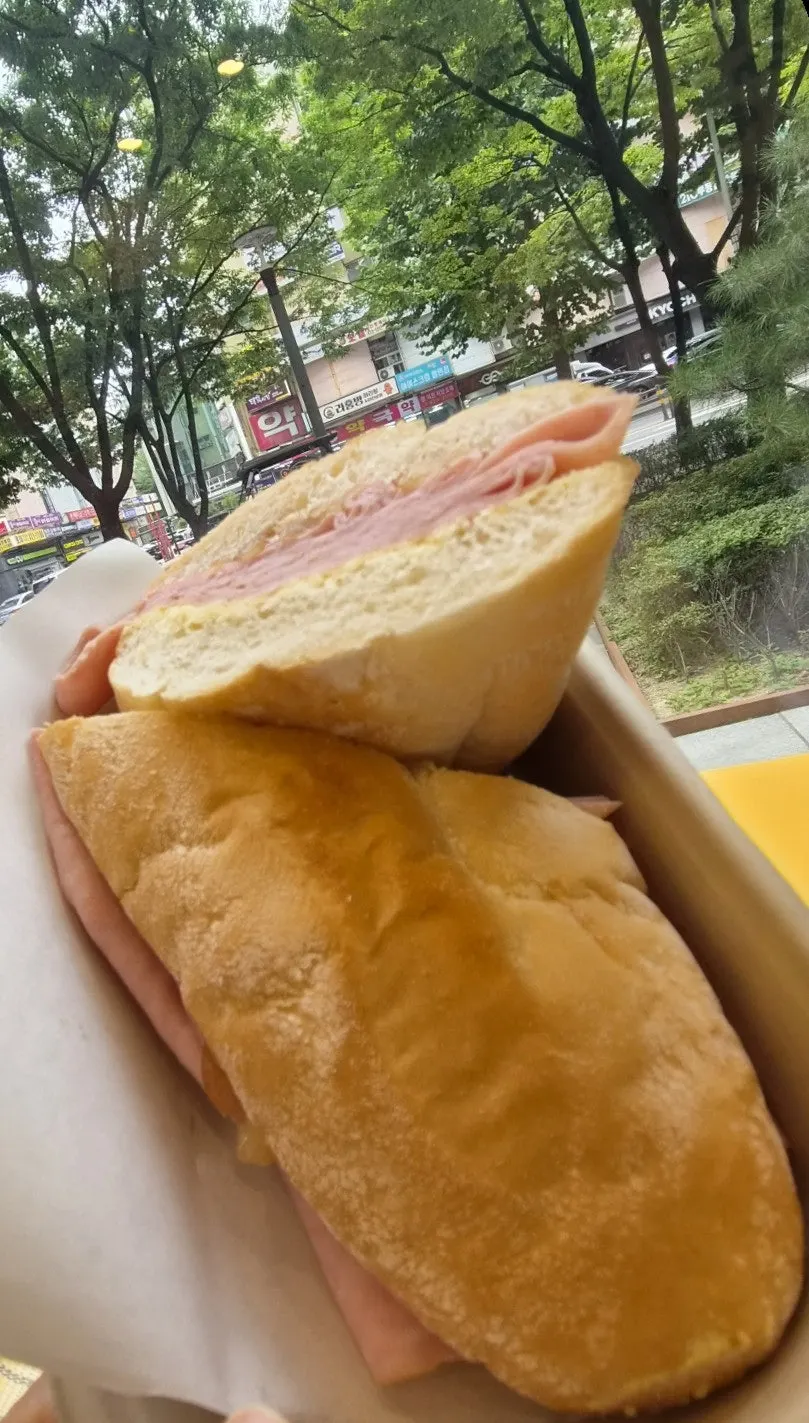 함께 나눠 먹은 두 가지 샌드위치
