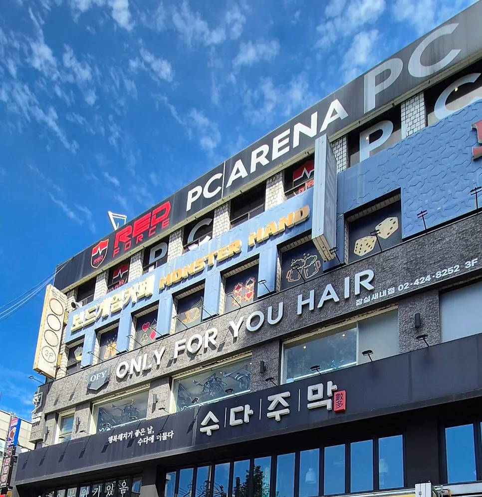 관리 전 푸석해진 모발 상태