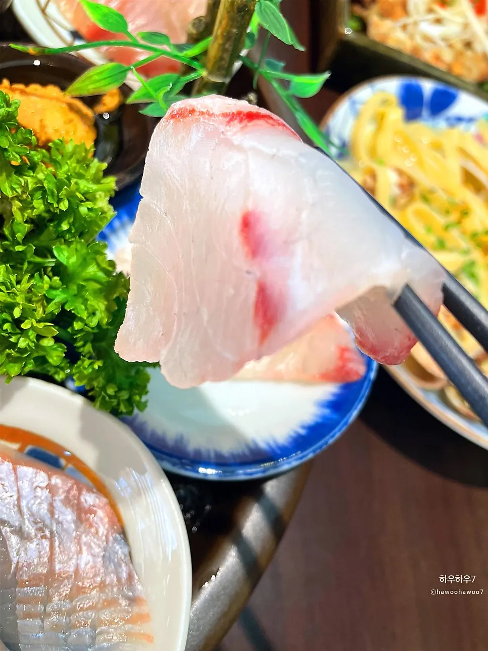 연어 참돔 방어 광어 숙성회