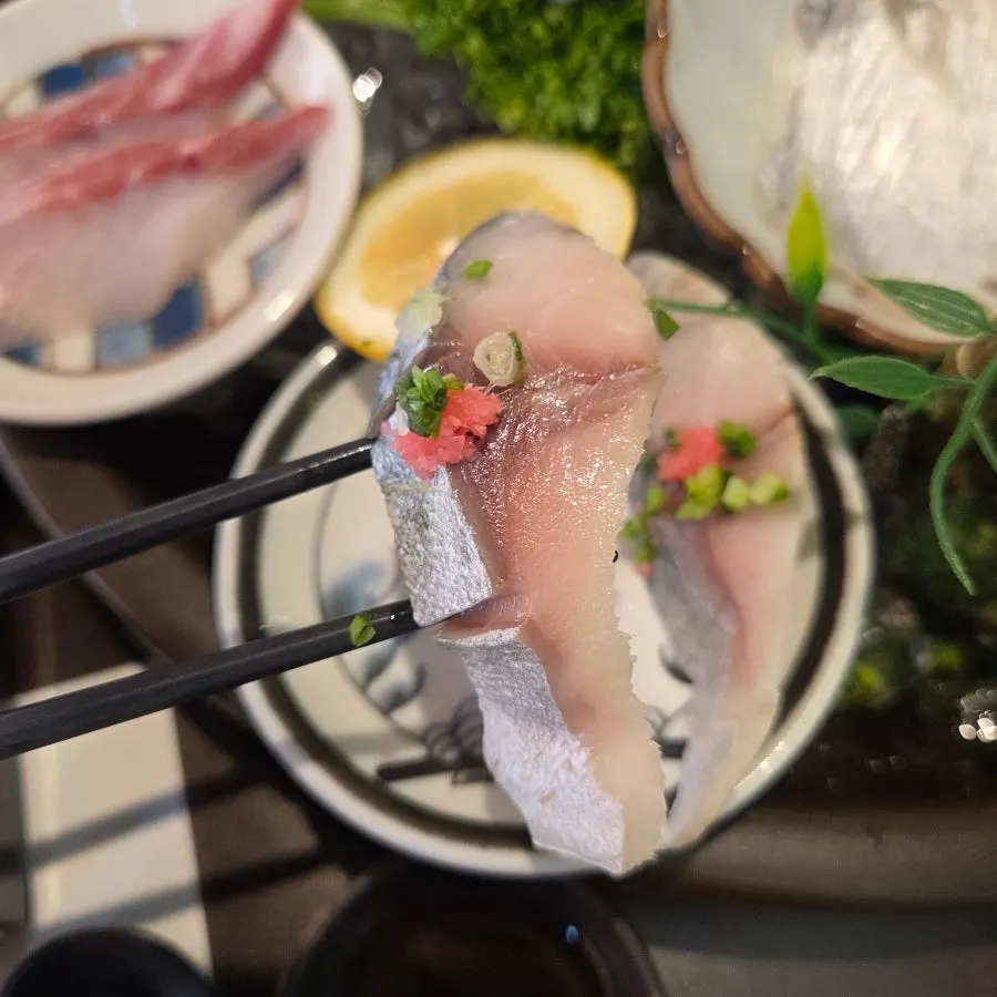 Aged sashimi selection including mackerel and amberjack