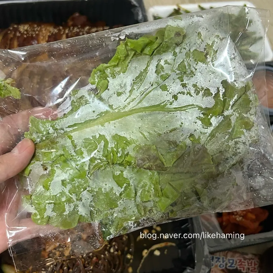 포장해 온 족발 대짜와 막국수 상차림