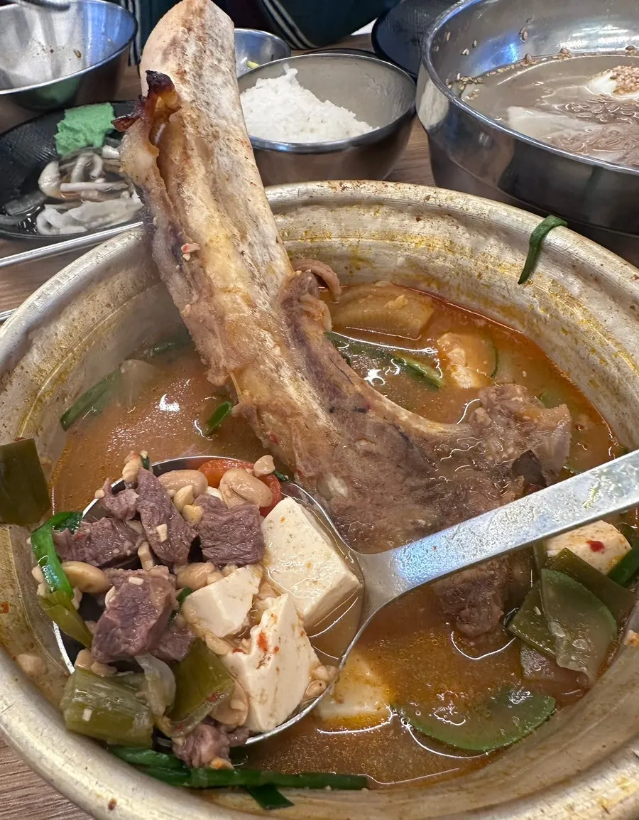 갈빗대가 통째로 든 한우갈비된장찌개
