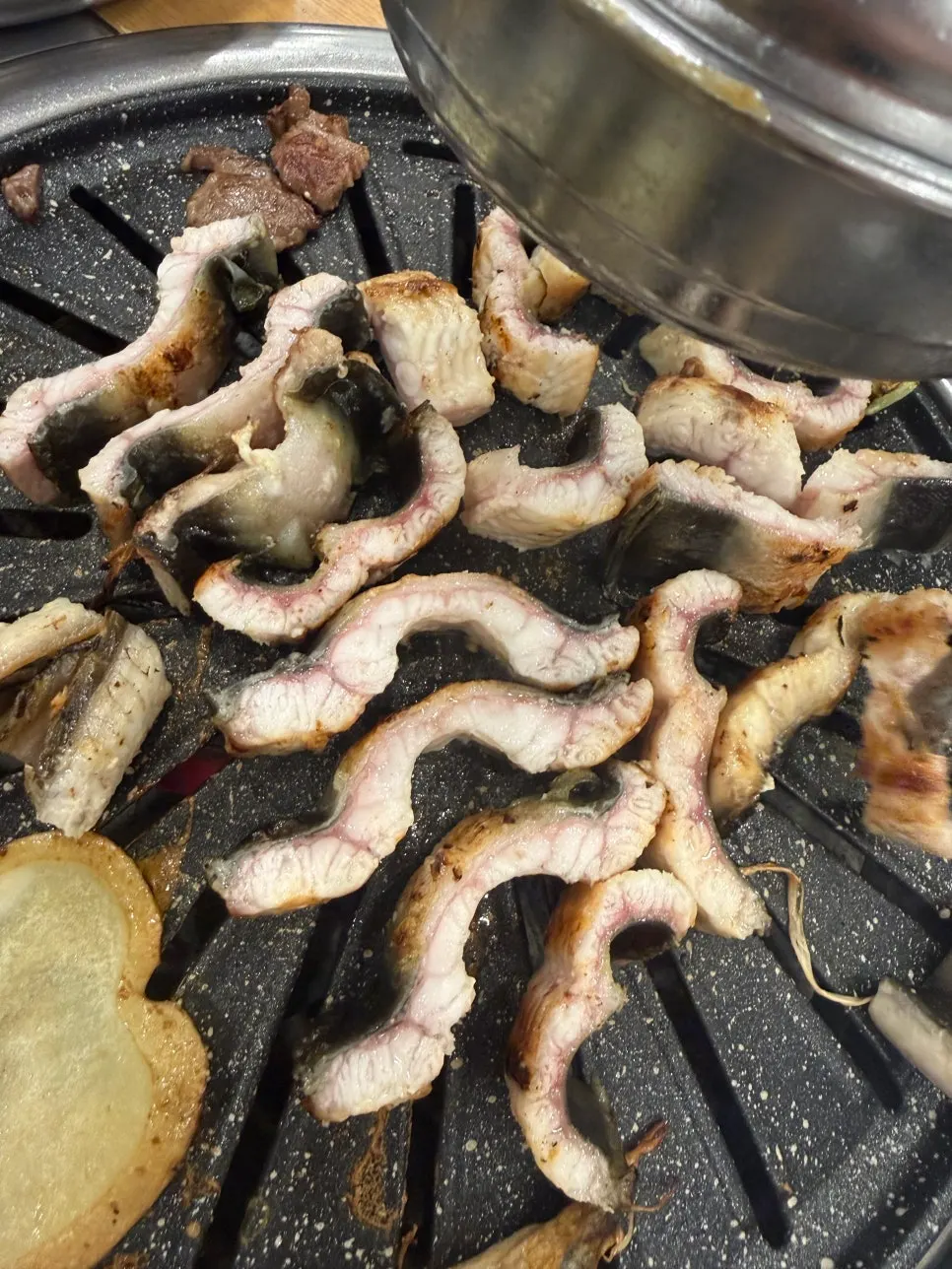 큼직하고 통통한 장소담 장어