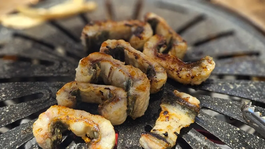 Thick freshwater eel lined up on the grill
