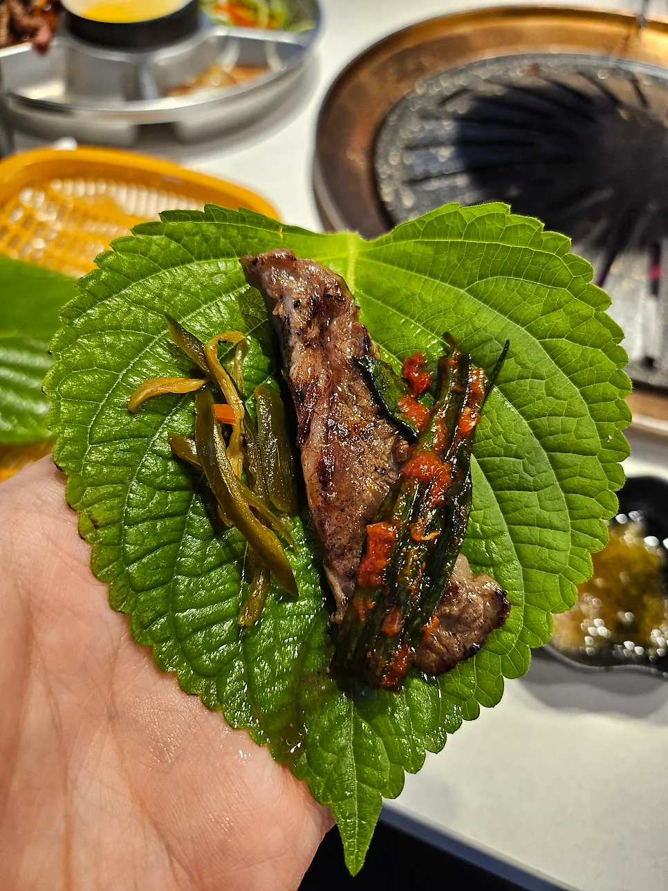 A piece of meat grilled golden brown on the grill plate