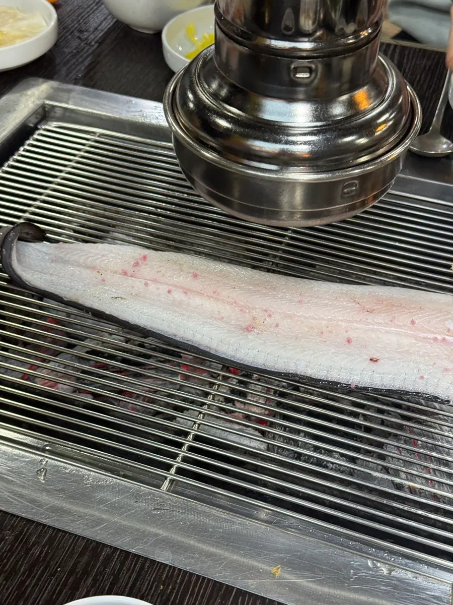 Fresh raw eel after cleaning and prep