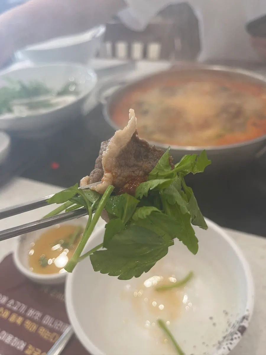Brisket and fresh minari in boiling broth