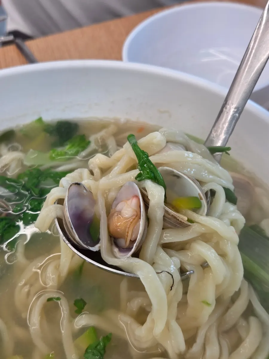 젓가락으로 들어 올린 도톰한 칼국수 면