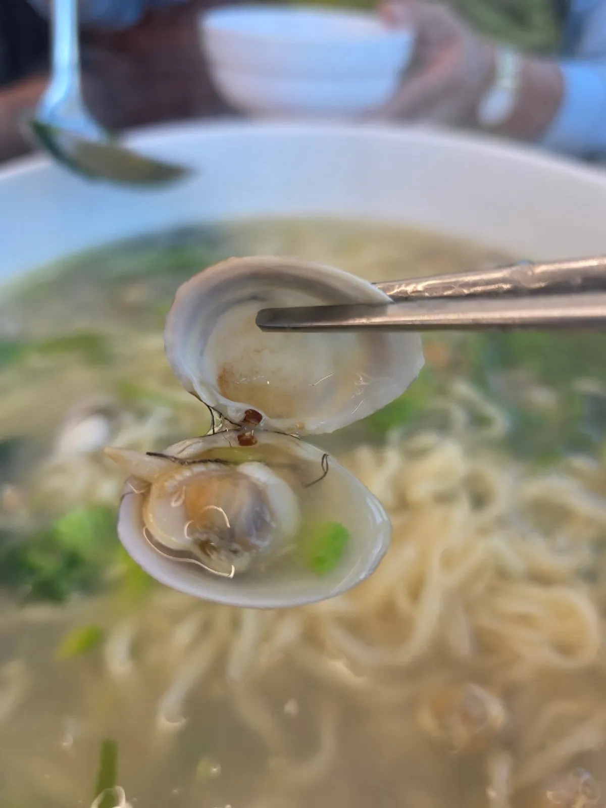 Featured photo of clam kalguksu at Seosan Dongjuk Kalguksu