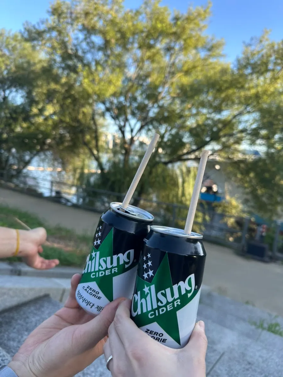 Chicken drumsticks eaten by the Han River
