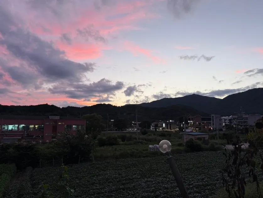 세 메뉴를 다 비운 낭만짜장 테이블