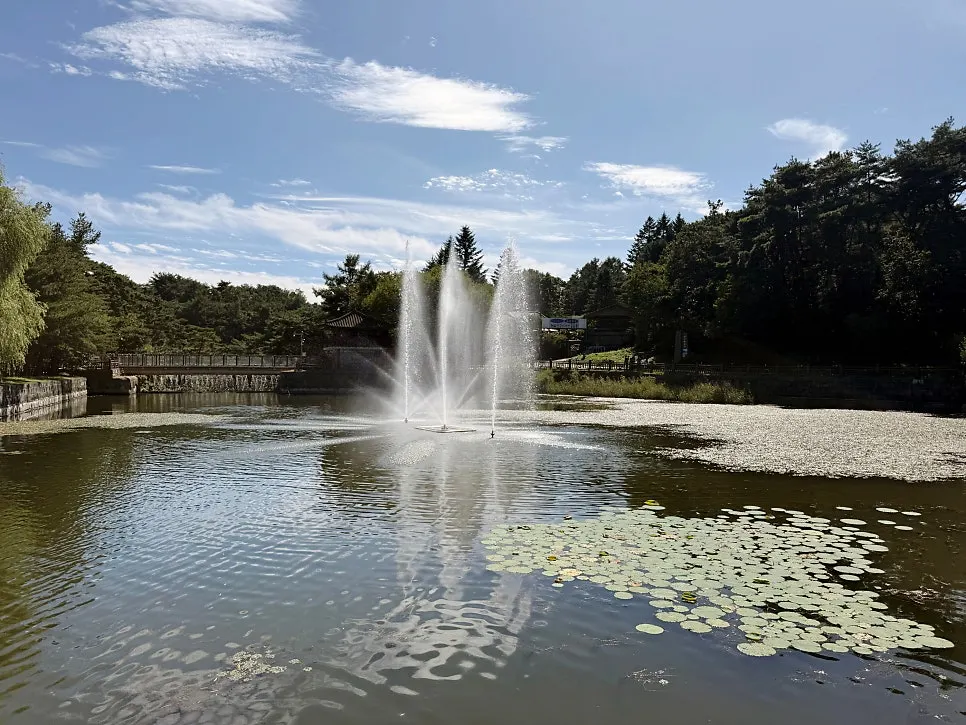 View of Nangman Jjajang near Uirimji in Jecheon