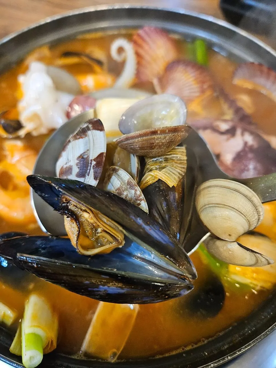 Broth full of scallops, mussels and other shellfish