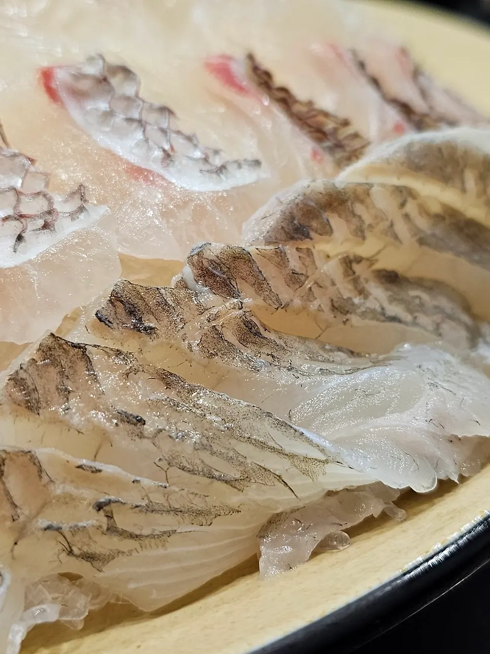 Assorted olive flounder, red sea bream, and rockfish sashimi