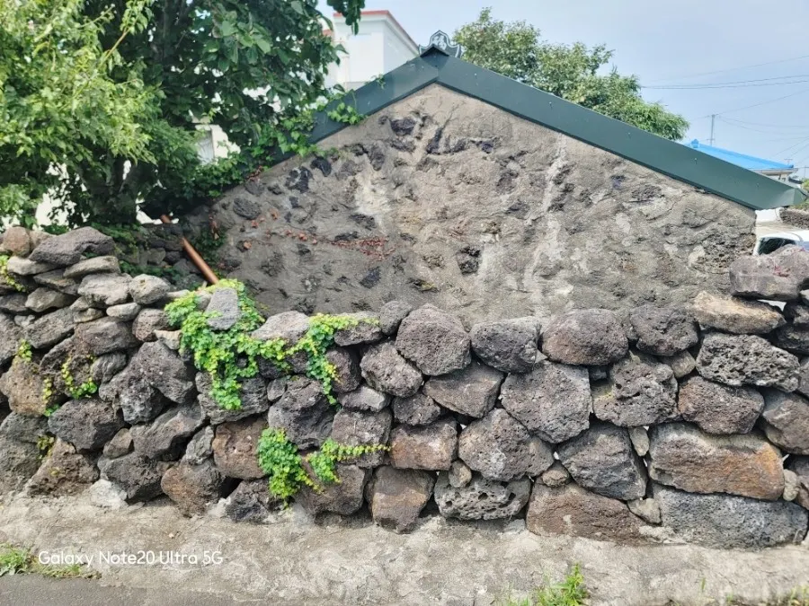 Outdoor snap shoot against a traditional Jeju stone wall