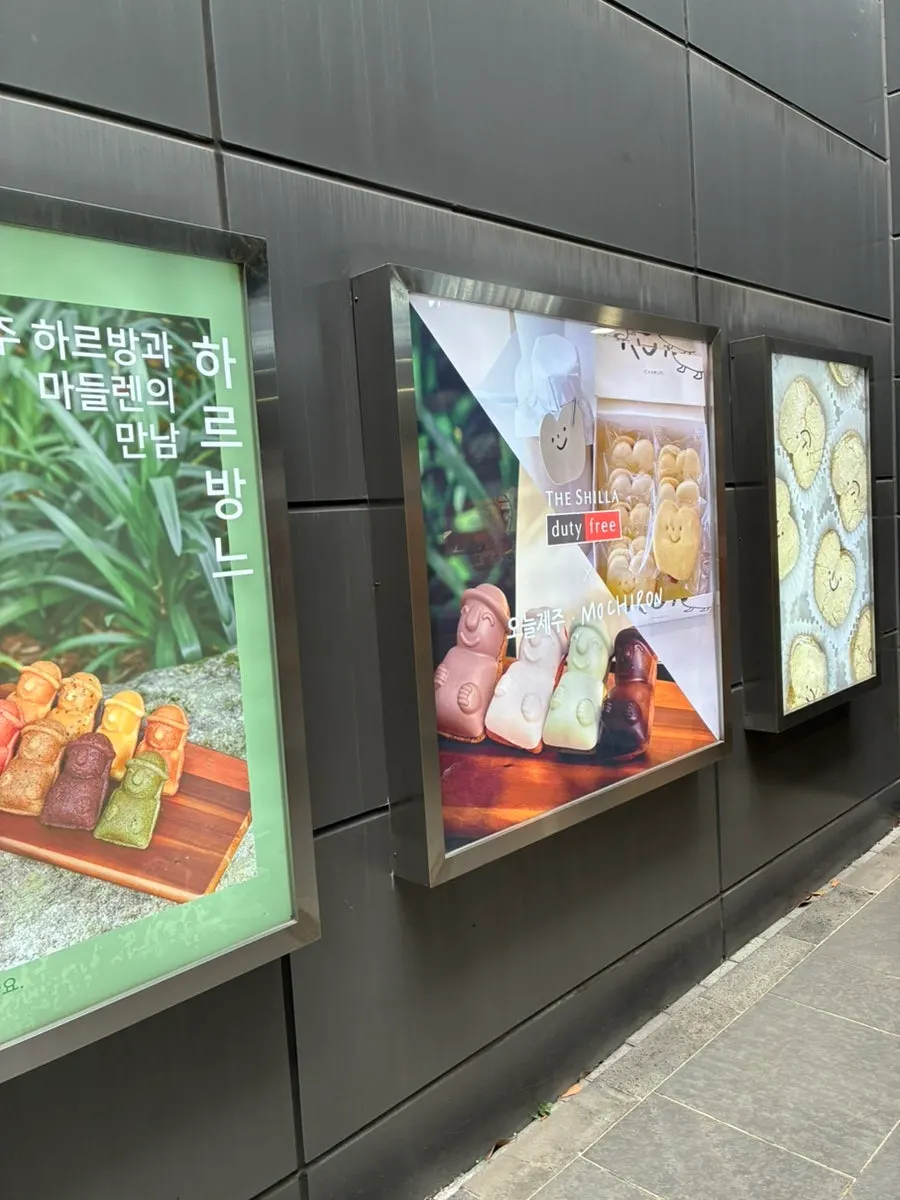 선물용으로 살펴본 제주 마들렌
