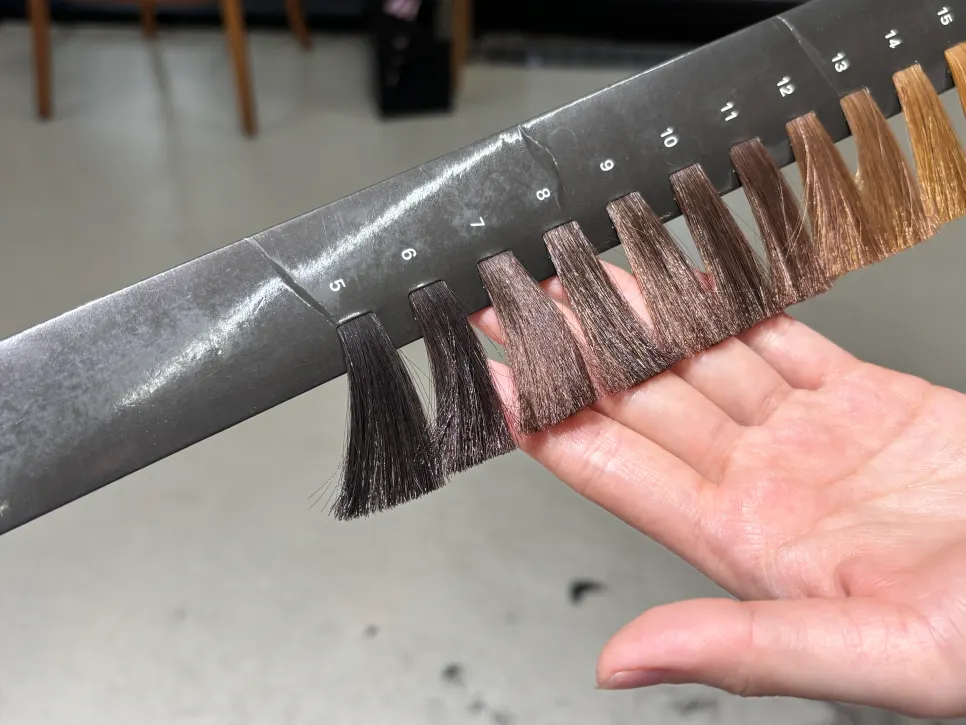 Hair condition before dyeing, showing orange tones