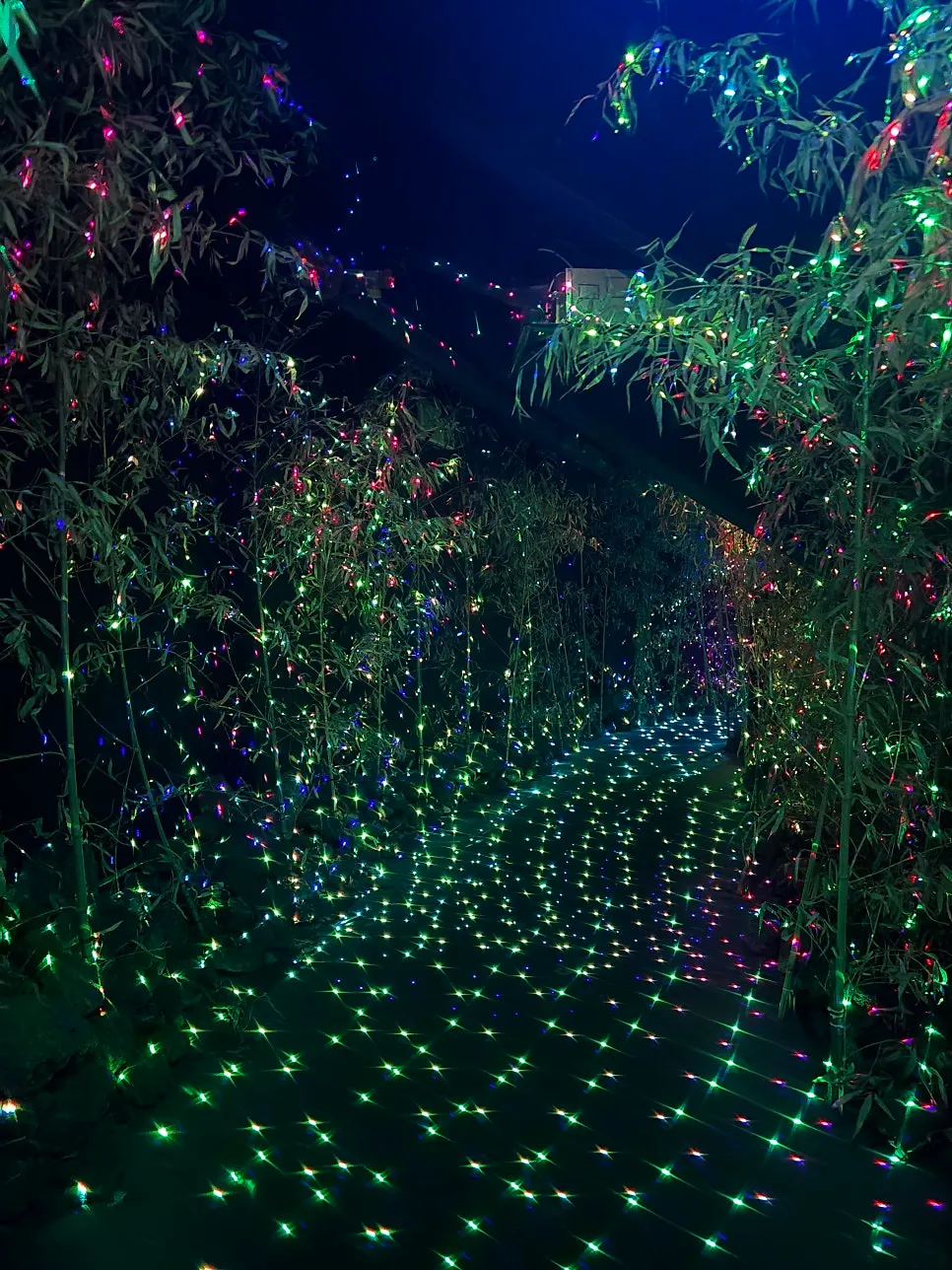 Touching the walls in the Gopeullak experience space