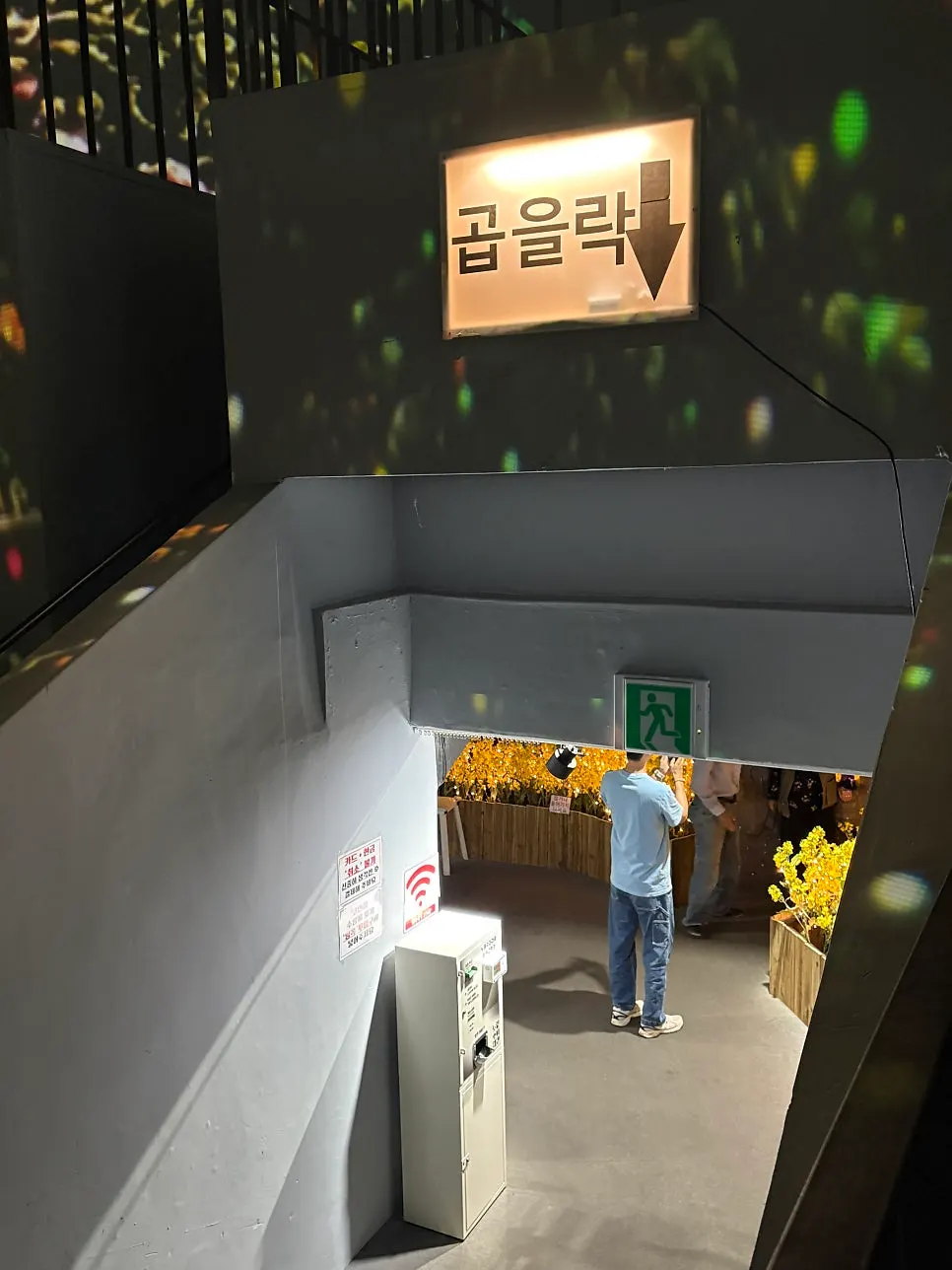 Maze-like exhibition space engaging all five senses