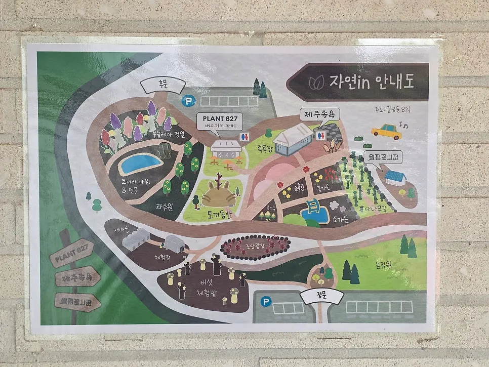 View of Jayeon in PLANT827 café inside Wolpyeong Flower Market