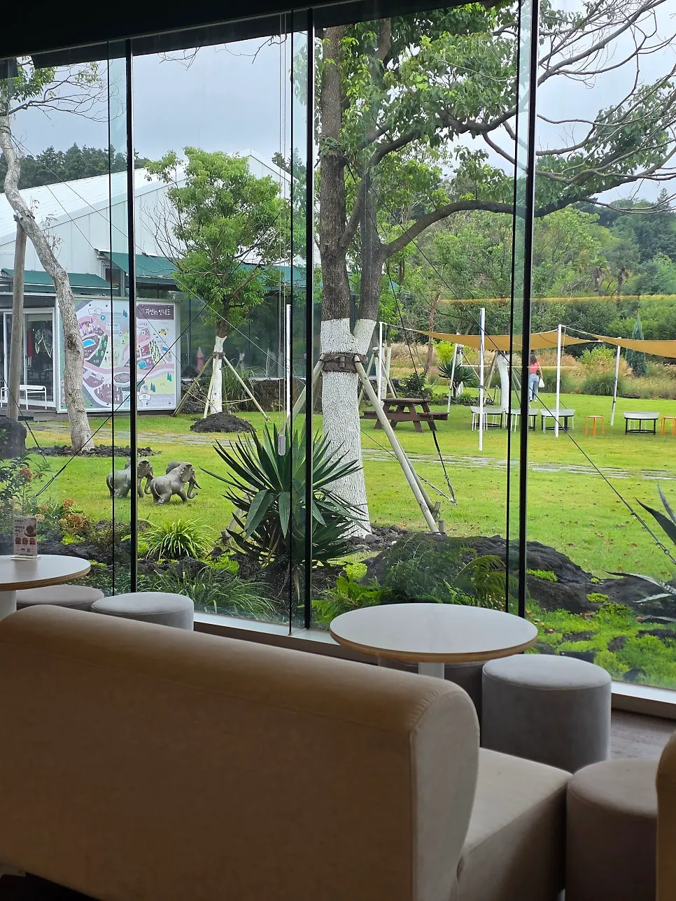 Garden plants around the café