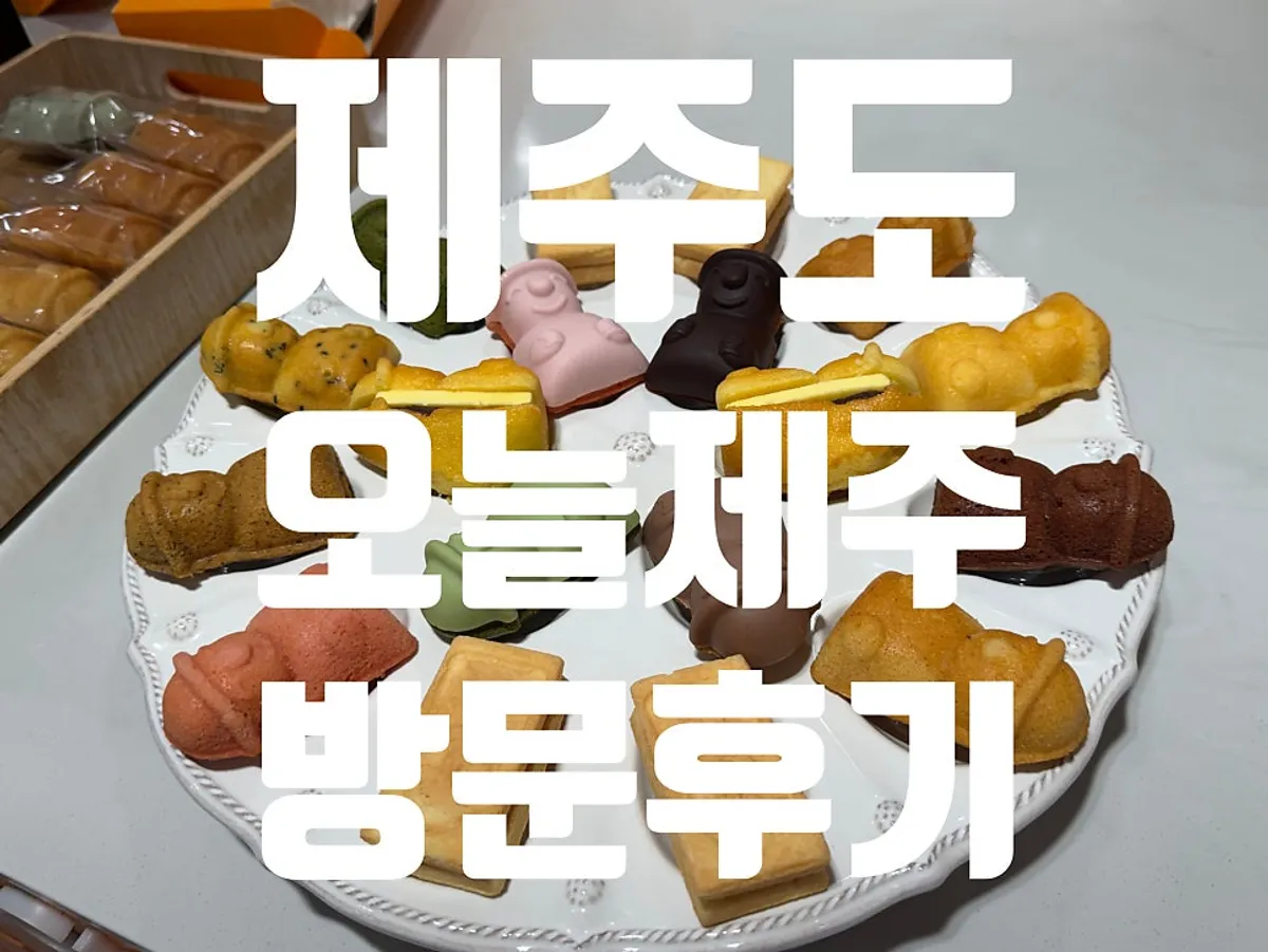 Hallabong and baeknyeoncho Harubangne madeleines