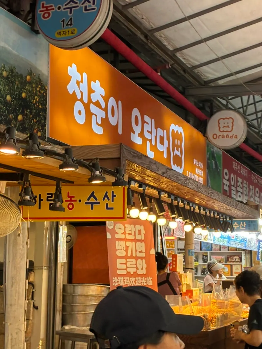 청춘이오란다 위치와 영업시간 안내