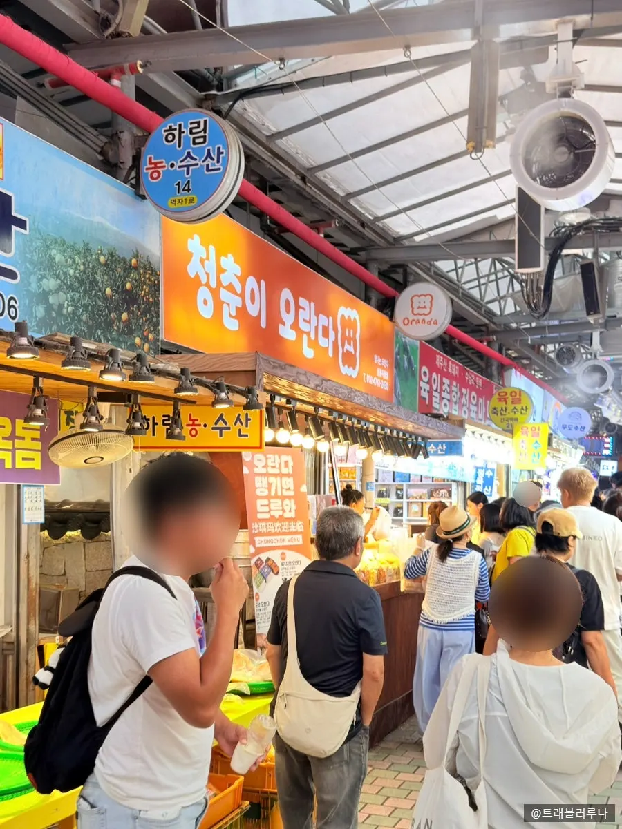 동문시장 안 청춘이오란다 간판