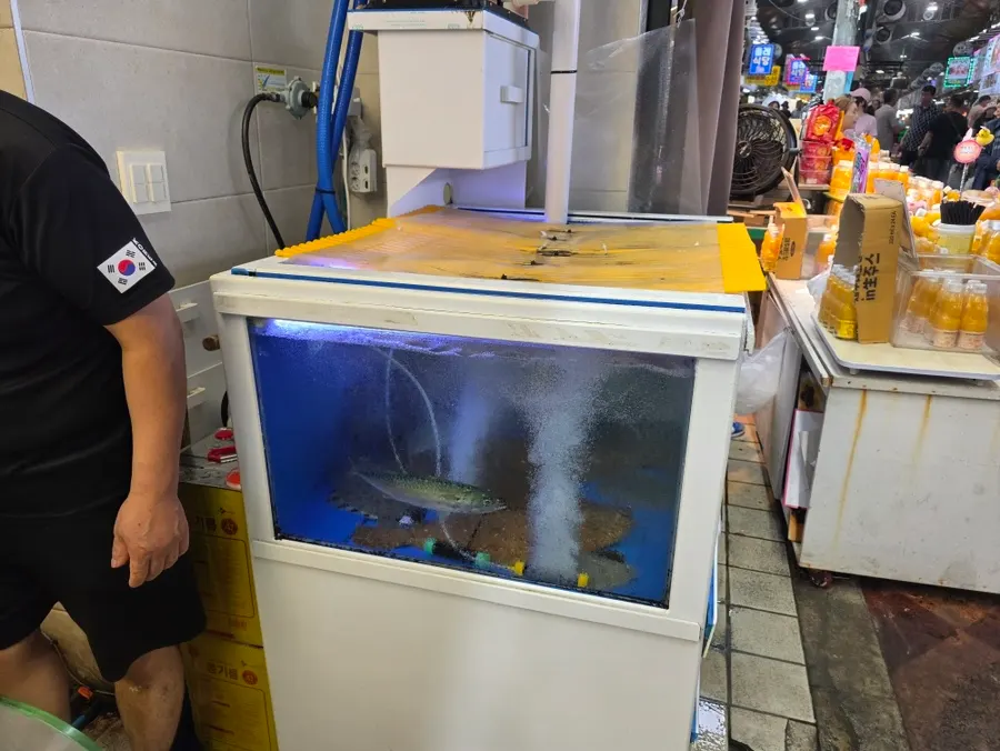 随点单现场处理鱼、现切生鱼片的场景