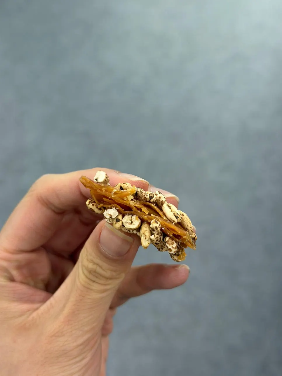 Cross-section of gwajul showing its layered texture