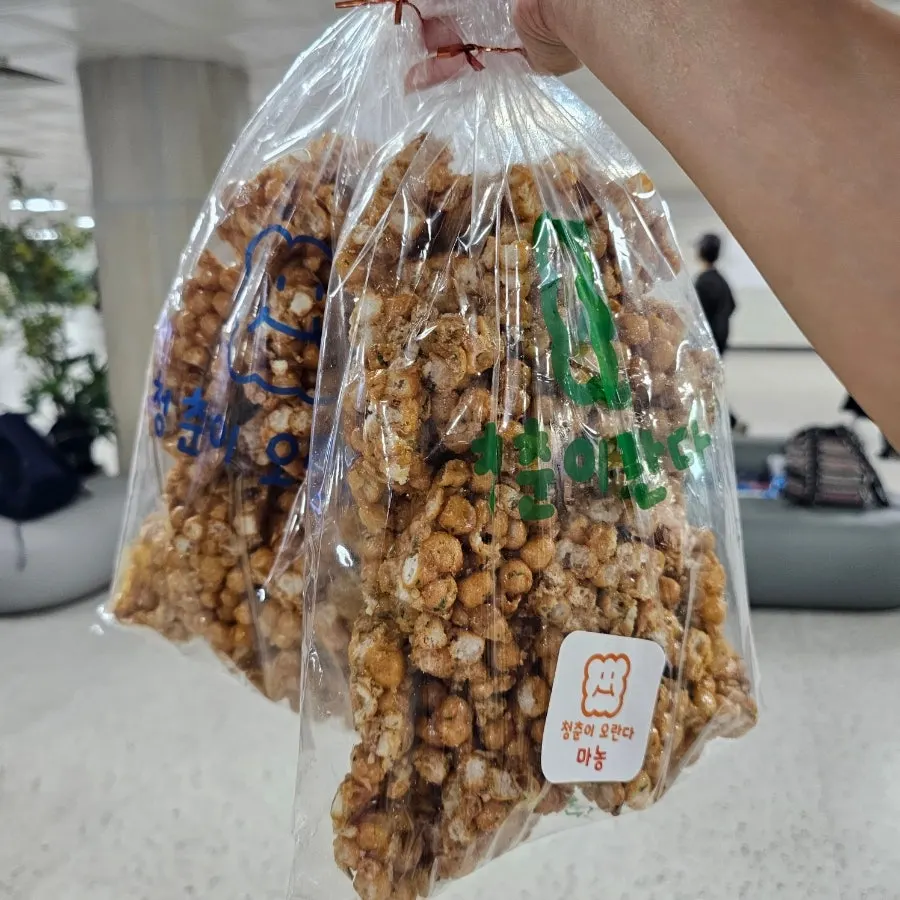 청춘이오란다 동문시장본점 탑동 수제 오란다