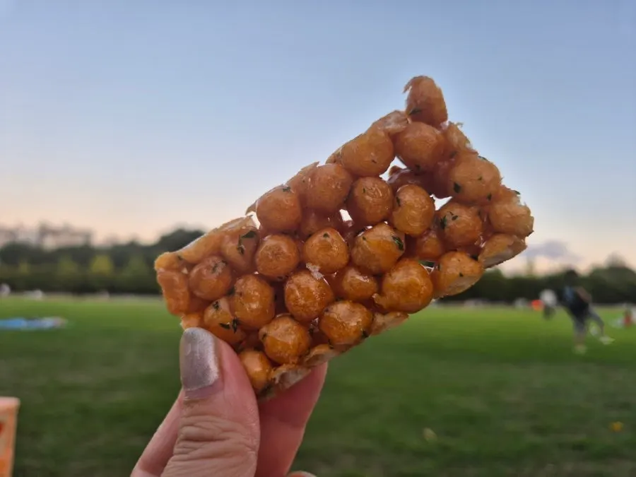 箱に包装されたチョンチュニオランダのオランダセット