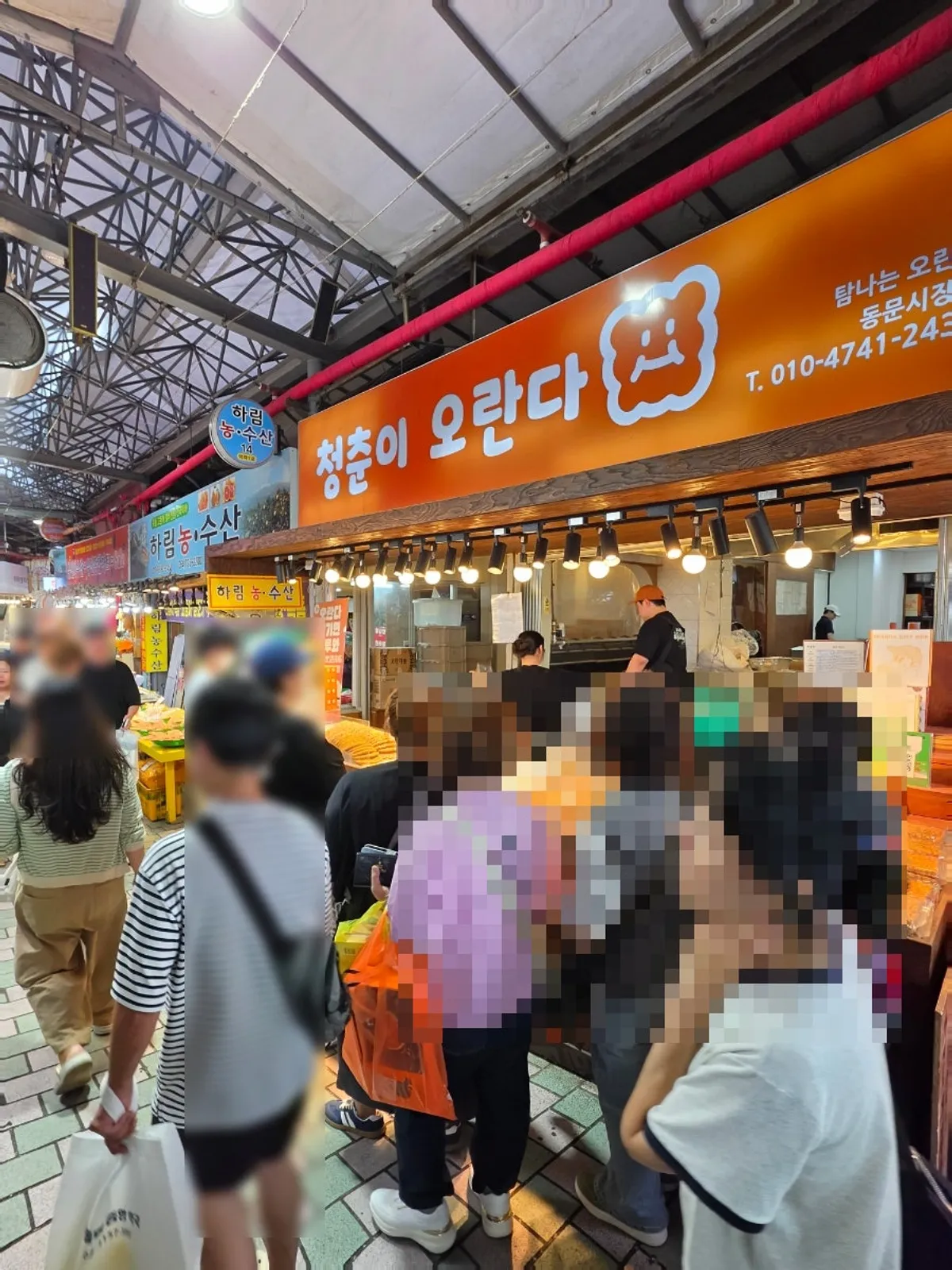 청춘이오란다에서 포장한 제주 오란다