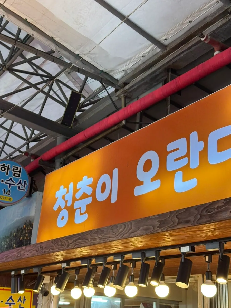 매장에서 만들어 파는 과즐