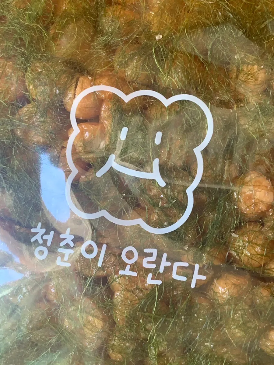 Yuzu oranda eaten on the trip home