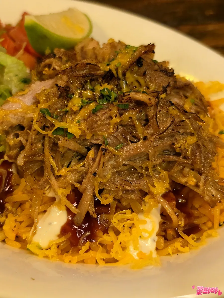 Close-up of generous pork topping