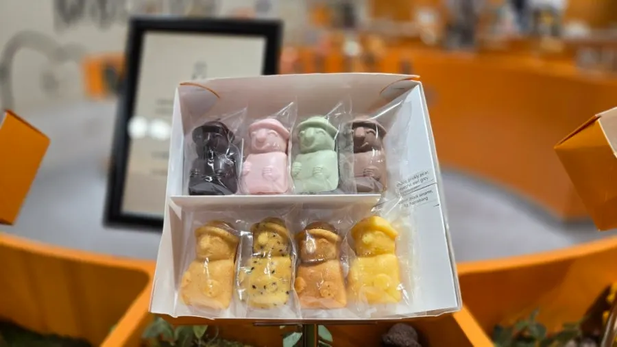 Today Jeju dol hareubang madeleines and chocolates