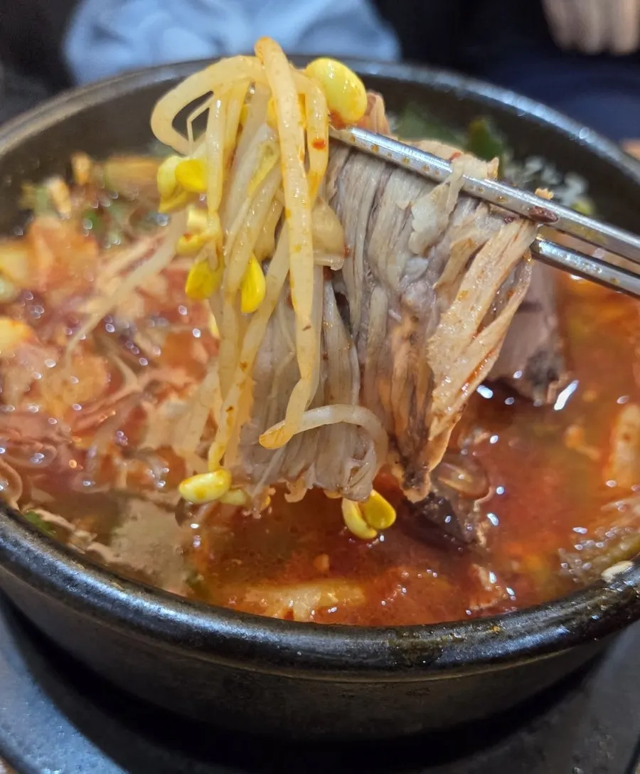 Spoonful of hangover soup ingredients