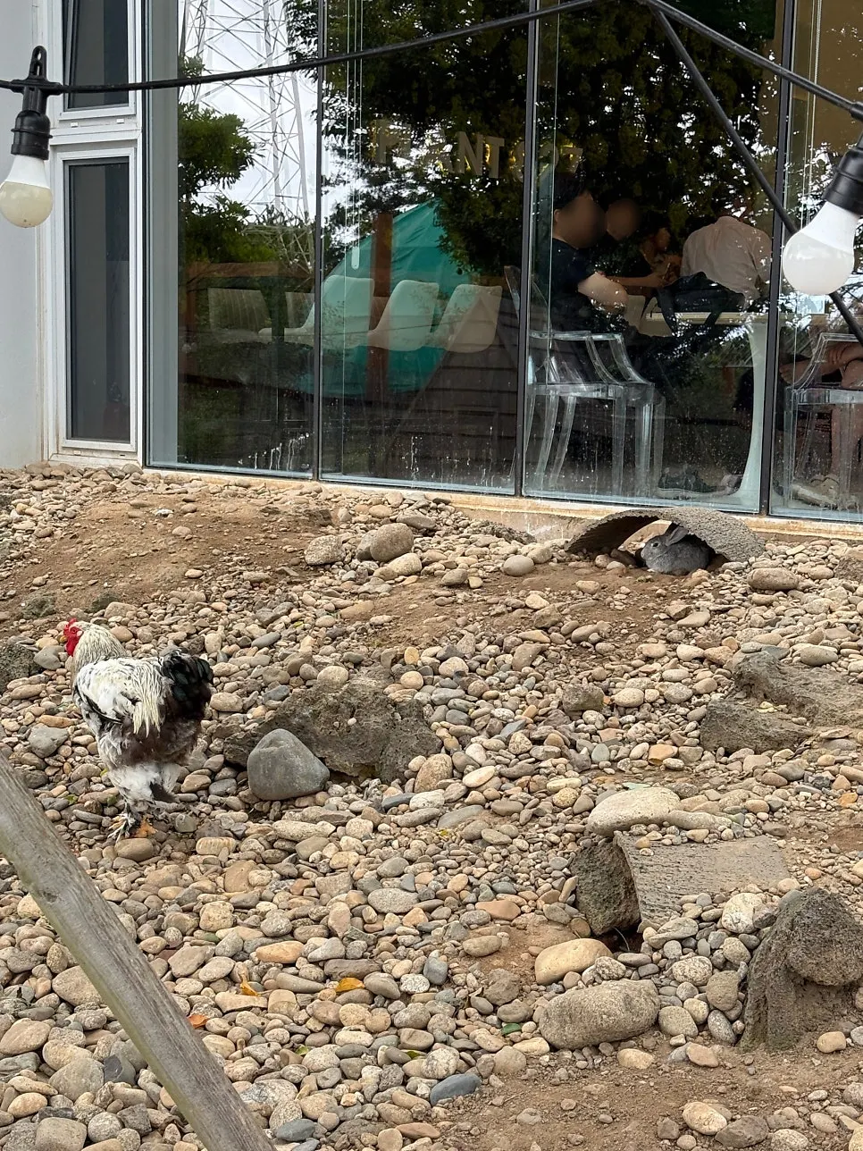 Outdoor garden and Wolpyeong Flower Market