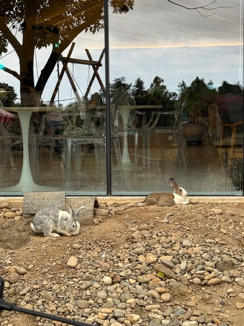 The café's outdoor garden