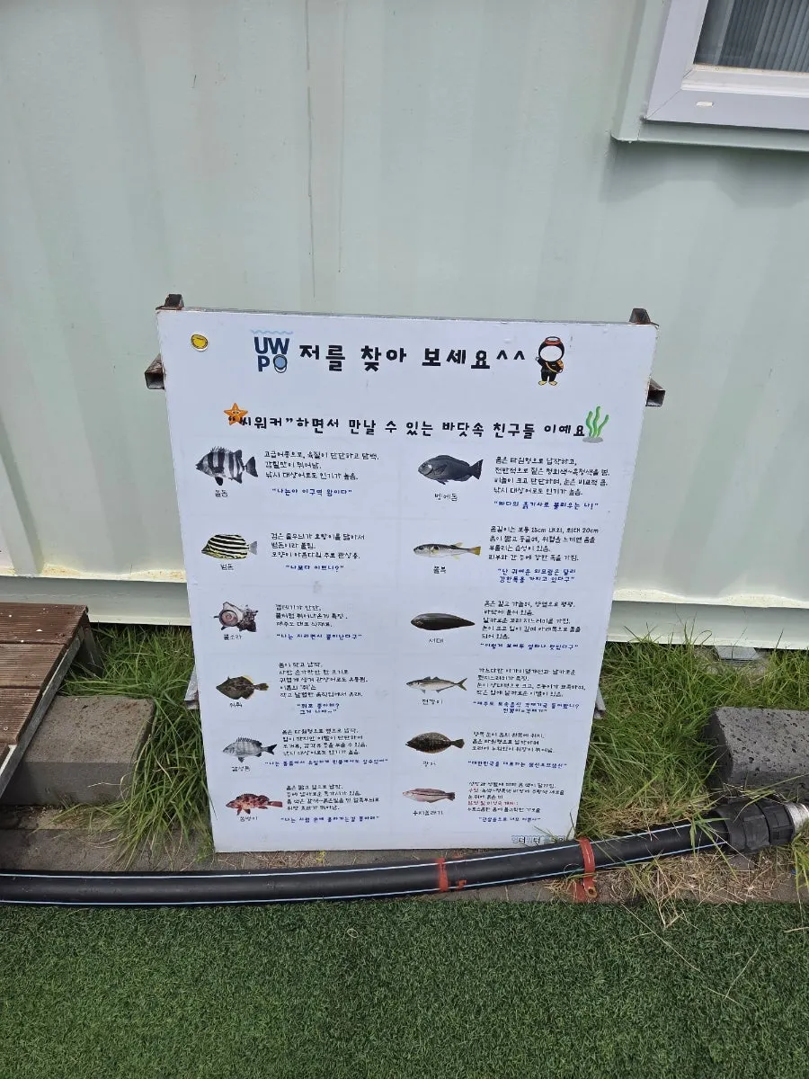 Outdoor space at the Gimnyeong Fisheries Culture Complex with an ocean view