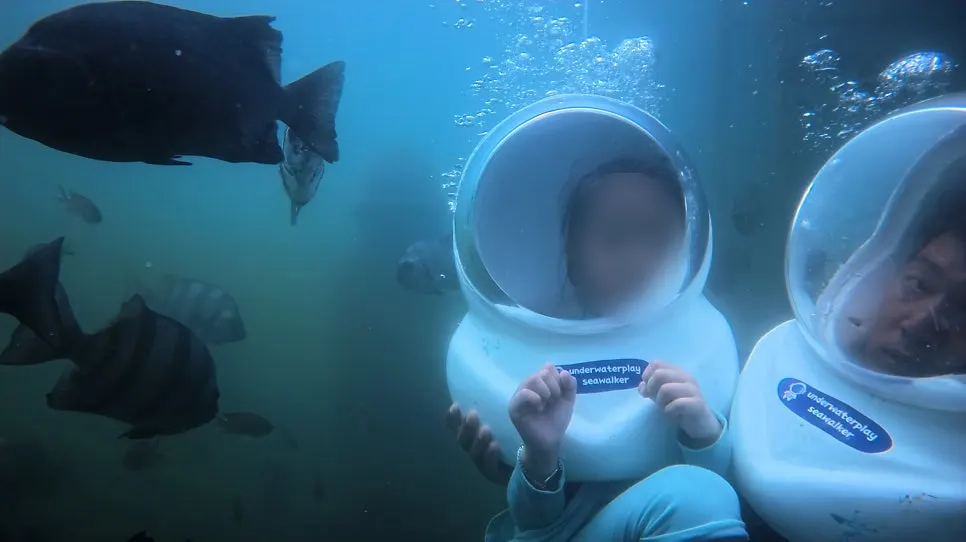 An underwater scene of the instructor holding a child while showing them fish