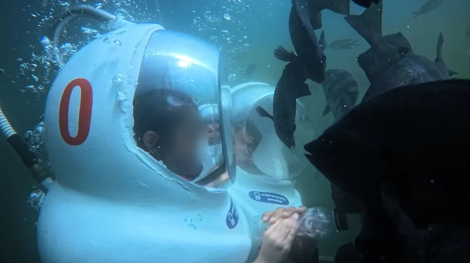 A scene of feeding fish during the sea walking experience