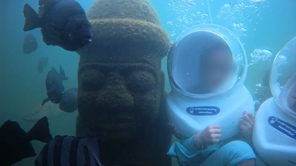 A group of fish gathered around a child underwater