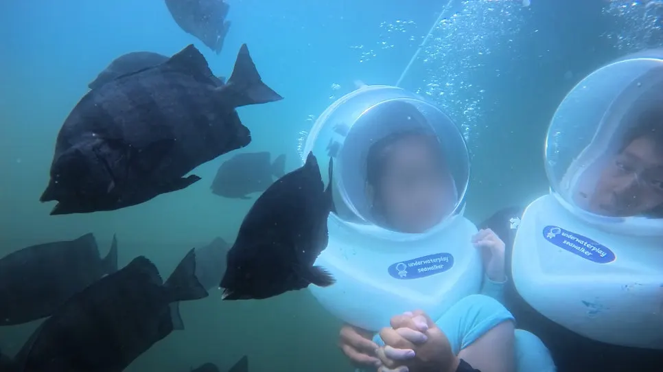 A child walking underwater surrounded by fish