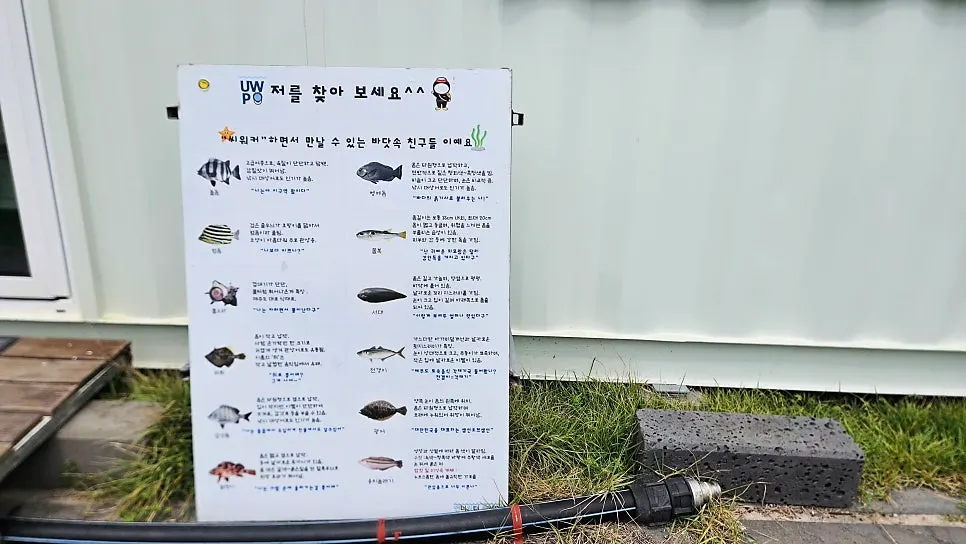 Information materials on fish you can meet while sea walking