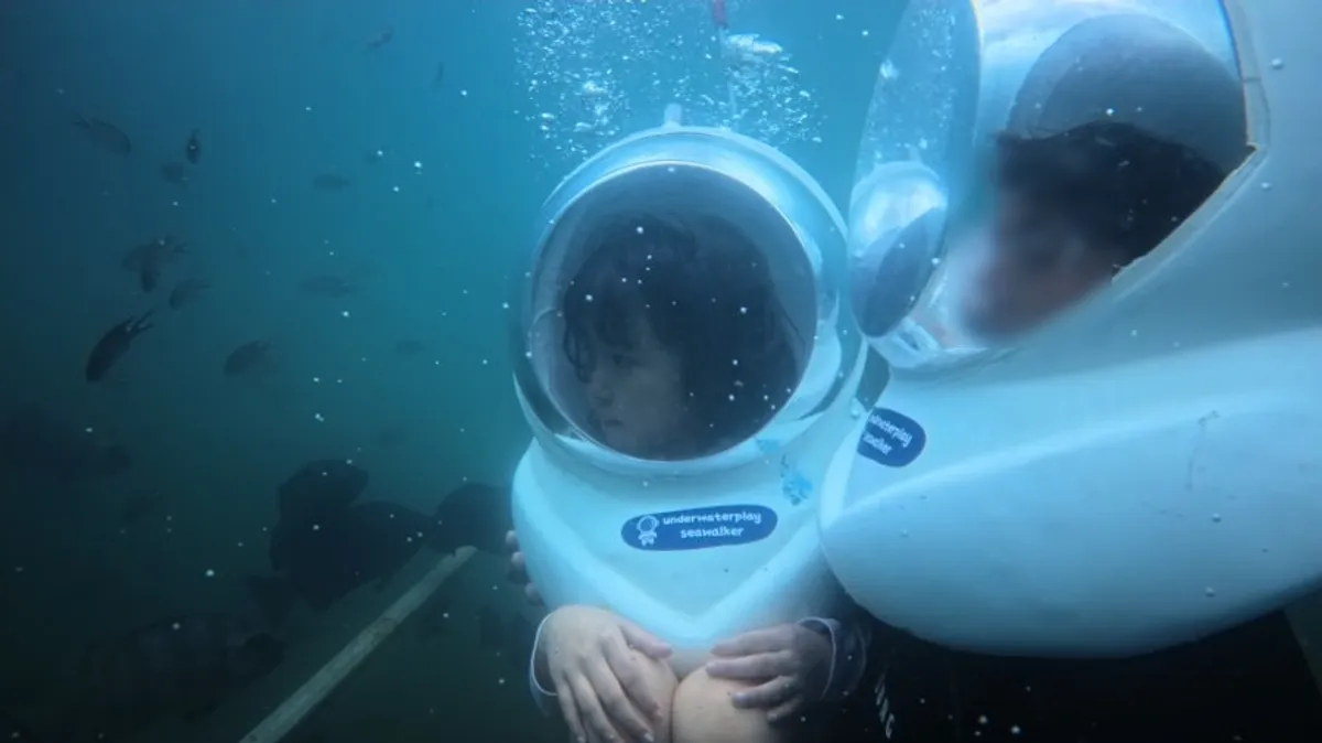 A school of fish gathering around a child during the feeding experience