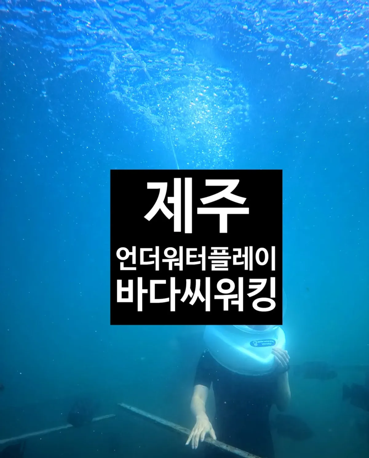 제주 바다 씨워크 체험 대표 이미지